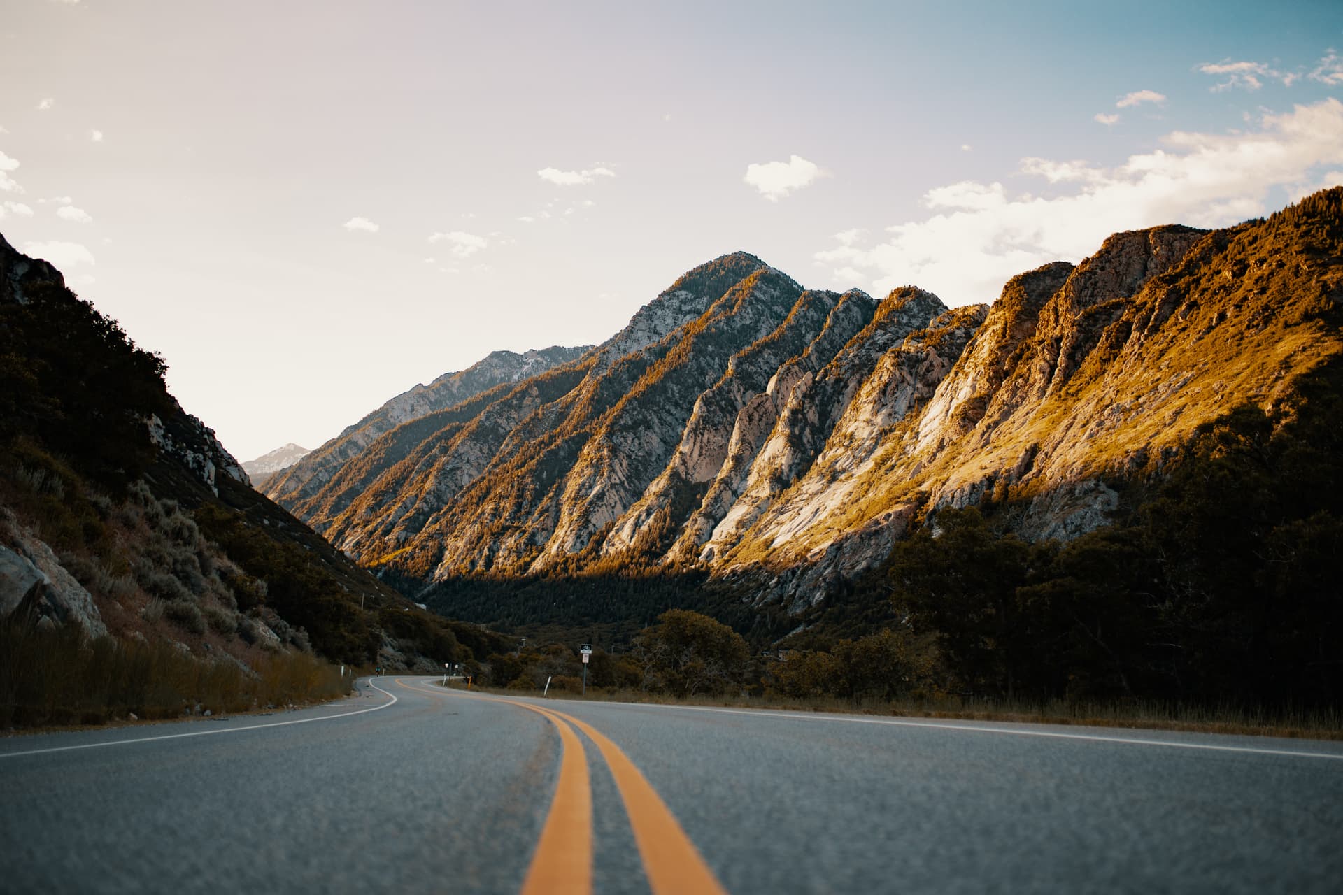 Why Hiring a Professional Tax Firm is Essential for Your Financial Health